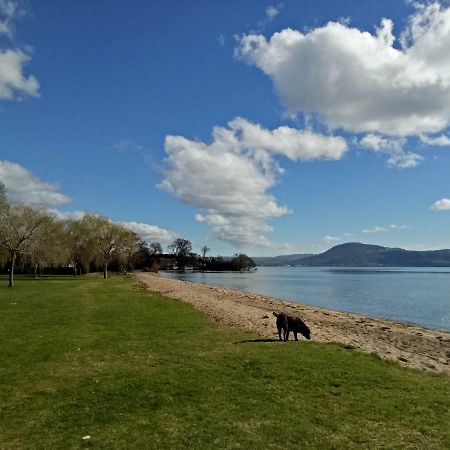 Great View Near Rotorua Lake Exterior photo
